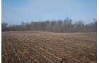 Property photo 6 - 70+/- Acres Offered in 1 Tract in Noble County, Indiana