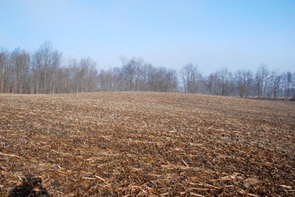 70+/- Acres Offered in 1 Tract in Noble County, Indiana