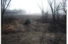 Property photo 4 - 70+/- Acres Offered in 1 Tract in Noble County, Indiana