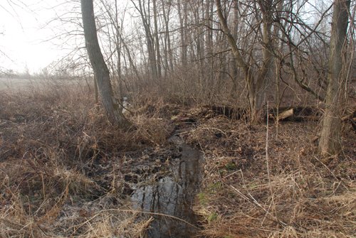 Property photo 5 - 70+/- Acres Offered in 1 Tract in Noble County, Indiana