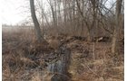 Property photo 5 - 70+/- Acres Offered in 1 Tract in Noble County, Indiana
