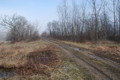 Property photo 12 - 70+/- Acres Offered in 1 Tract in Noble County, Indiana