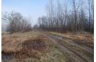 Property photo 12 - 70+/- Acres Offered in 1 Tract in Noble County, Indiana