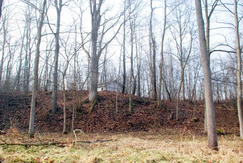 Property photo 1 - 70+/- Acres Offered in 1 Tract in Noble County, Indiana