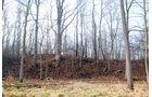 Property photo 1 - 70+/- Acres Offered in 1 Tract in Noble County, Indiana