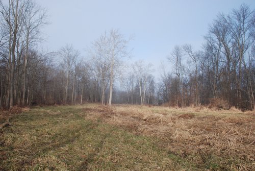 Property photo 9 - 70+/- Acres Offered in 1 Tract in Noble County, Indiana