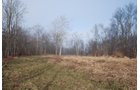 Property photo 9 - 70+/- Acres Offered in 1 Tract in Noble County, Indiana