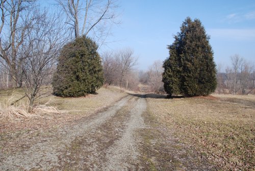 Property photo 2 - 70+/- Acres Offered in 1 Tract in Noble County, Indiana