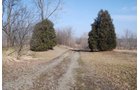 Property photo 2 - 70+/- Acres Offered in 1 Tract in Noble County, Indiana