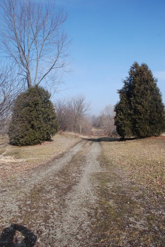 Property photo 8 - 70+/- Acres Offered in 1 Tract in Noble County, Indiana