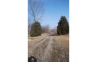 Property photo 8 - 70+/- Acres Offered in 1 Tract in Noble County, Indiana