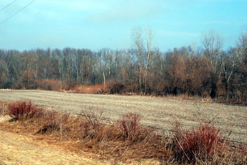 Property photo 7 - 70+/- Acres Offered in 1 Tract in Noble County, Indiana