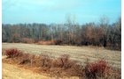 Property photo 7 - 70+/- Acres Offered in 1 Tract in Noble County, Indiana