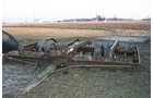 Property photo 73 - Farmers Grain & Ag Extra Farm Equipment Auction