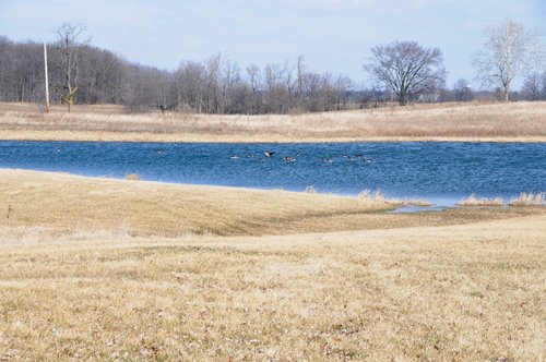 Tract 1 - 452+/- Acres Offered in 14 Tracts - DeKalb County, Indiana and Williams County, Ohio