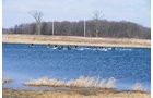 Tract 1 - 452+/- Acres Offered in 14 Tracts - DeKalb County, Indiana and Williams County, Ohio