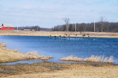 Tract 1 - 452+/- Acres Offered in 14 Tracts - DeKalb County, Indiana and Williams County, Ohio