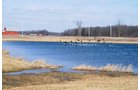 Tract 1 - 452+/- Acres Offered in 14 Tracts - DeKalb County, Indiana and Williams County, Ohio