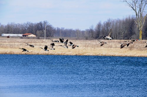Tract 1 - 452+/- Acres Offered in 14 Tracts - DeKalb County, Indiana and Williams County, Ohio