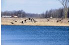 Tract 1 - 452+/- Acres Offered in 14 Tracts - DeKalb County, Indiana and Williams County, Ohio