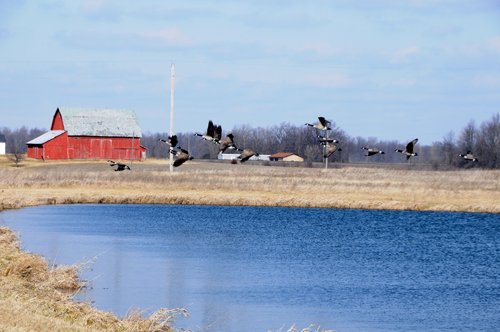 Tract 1 - 452+/- Acres Offered in 14 Tracts - DeKalb County, Indiana and Williams County, Ohio