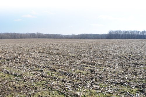 Tract 7 - 452+/- Acres Offered in 14 Tracts - DeKalb County, Indiana and Williams County, Ohio