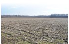 Tract 7 - 452+/- Acres Offered in 14 Tracts - DeKalb County, Indiana and Williams County, Ohio