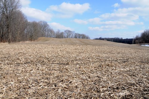 Tract 13 - 452+/- Acres Offered in 14 Tracts - DeKalb County, Indiana and Williams County, Ohio