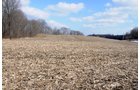 Tract 13 - 452+/- Acres Offered in 14 Tracts - DeKalb County, Indiana and Williams County, Ohio