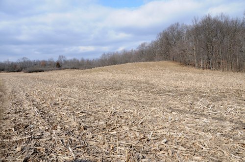 Property photo 27 - 452+/- Acres Offered in 14 Tracts - DeKalb County, Indiana and Williams County, Ohio