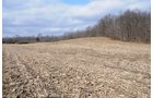 Property photo 27 - 452+/- Acres Offered in 14 Tracts - DeKalb County, Indiana and Williams County, Ohio