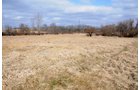 Property photo 23 - 452+/- Acres Offered in 14 Tracts - DeKalb County, Indiana and Williams County, Ohio