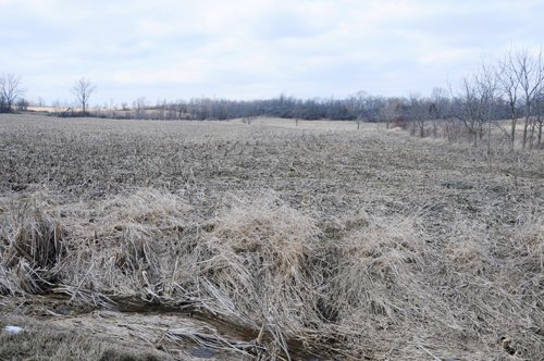 Property photo 22 - 452+/- Acres Offered in 14 Tracts - DeKalb County, Indiana and Williams County, Ohio