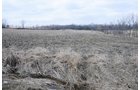 Property photo 22 - 452+/- Acres Offered in 14 Tracts - DeKalb County, Indiana and Williams County, Ohio