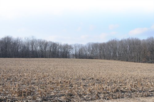 Property photo 5 - 452+/- Acres Offered in 14 Tracts - DeKalb County, Indiana and Williams County, Ohio