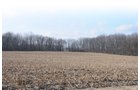 Property photo 5 - 452+/- Acres Offered in 14 Tracts - DeKalb County, Indiana and Williams County, Ohio