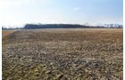 Tract 10 - 452+/- Acres Offered in 14 Tracts - DeKalb County, Indiana and Williams County, Ohio
