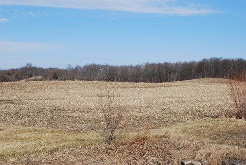 Property photo 53 - 452+/- Acres Offered in 14 Tracts - DeKalb County, Indiana and Williams County, Ohio