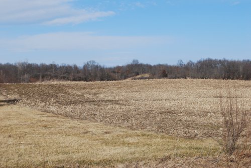 Property photo 78 - 452+/- Acres Offered in 14 Tracts - DeKalb County, Indiana and Williams County, Ohio