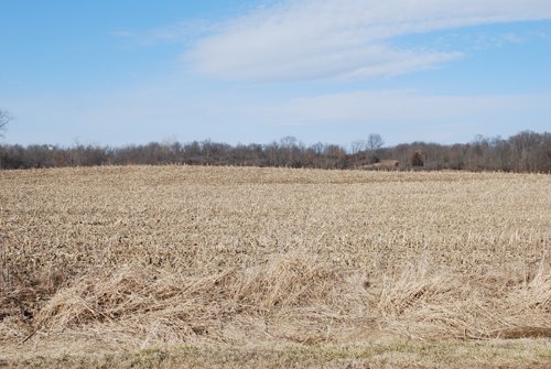 Property photo 38 - 452+/- Acres Offered in 14 Tracts - DeKalb County, Indiana and Williams County, Ohio