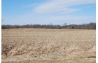 Property photo 38 - 452+/- Acres Offered in 14 Tracts - DeKalb County, Indiana and Williams County, Ohio