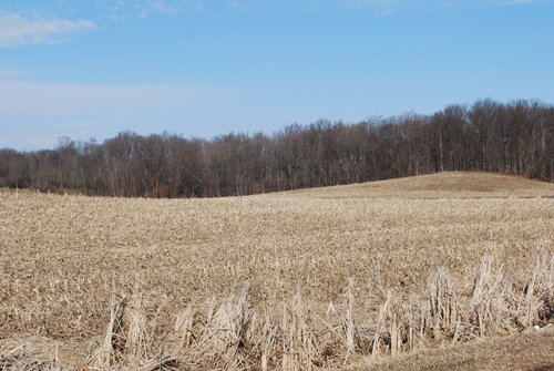 Property photo 55 - 452+/- Acres Offered in 14 Tracts - DeKalb County, Indiana and Williams County, Ohio