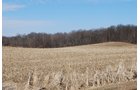 Property photo 55 - 452+/- Acres Offered in 14 Tracts - DeKalb County, Indiana and Williams County, Ohio