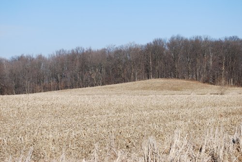 Property photo 40 - 452+/- Acres Offered in 14 Tracts - DeKalb County, Indiana and Williams County, Ohio