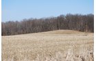 Property photo 40 - 452+/- Acres Offered in 14 Tracts - DeKalb County, Indiana and Williams County, Ohio