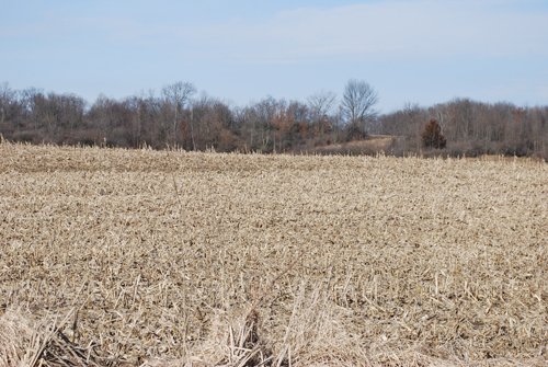 Property photo 39 - 452+/- Acres Offered in 14 Tracts - DeKalb County, Indiana and Williams County, Ohio