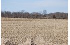 Property photo 39 - 452+/- Acres Offered in 14 Tracts - DeKalb County, Indiana and Williams County, Ohio