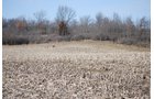 Property photo 32 - 452+/- Acres Offered in 14 Tracts - DeKalb County, Indiana and Williams County, Ohio
