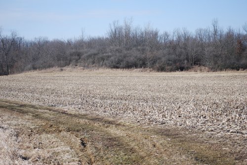 Property photo 71 - 452+/- Acres Offered in 14 Tracts - DeKalb County, Indiana and Williams County, Ohio