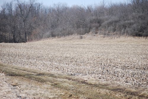 Property photo 31 - 452+/- Acres Offered in 14 Tracts - DeKalb County, Indiana and Williams County, Ohio